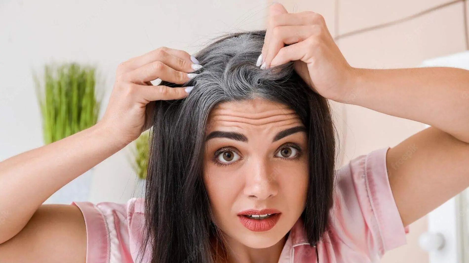 Estas podrían ser las razones detrás de las canas, según expertos de Harvard